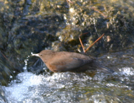 e0018678_2072479.jpg