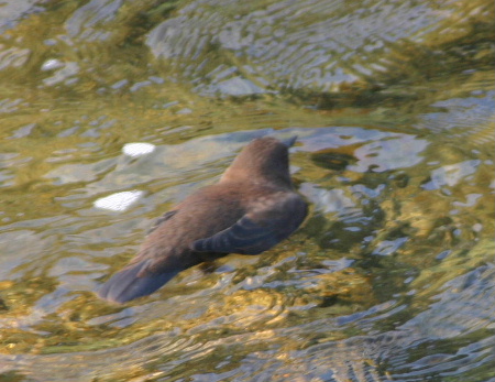 e0018678_207497.jpg