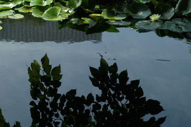 d0034980_2146144.jpg