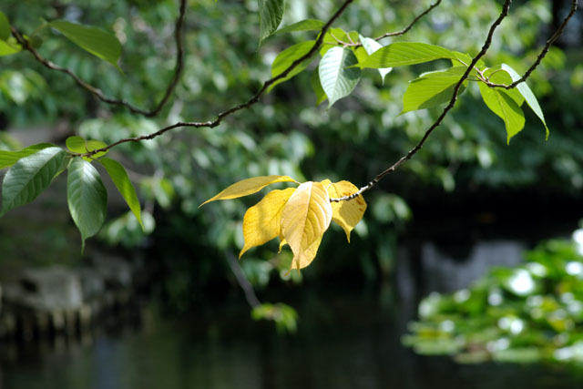 d0034980_21544341.jpg
