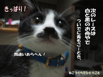 b0041182_143952100.jpg