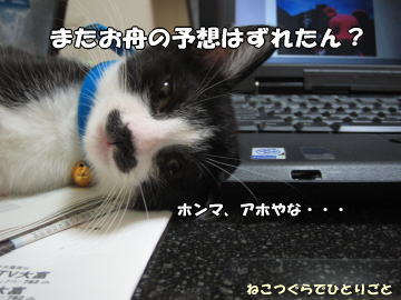 b0041182_9423943.jpg