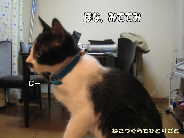 b0041182_943054.jpg