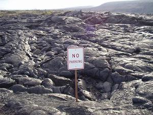 b0015290_21562328.jpg