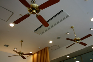 d0056490_10253791.jpg
