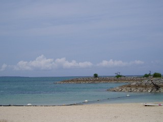 b0027009_18152413.jpg