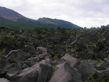 c0036210_10433194.jpg