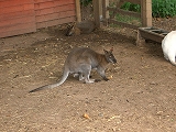 b0060111_565656.jpg