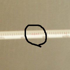 c0036617_75035100.jpg