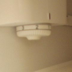 c0036617_7564318.jpg