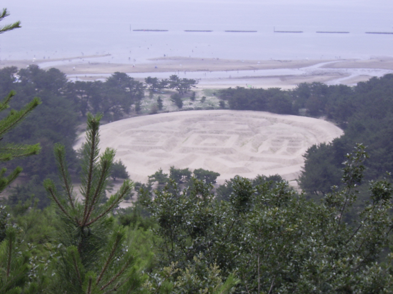 d0048332_8542951.jpg