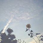 c0046340_0352862.jpg