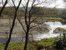 e0057640_312252.jpg