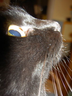 e0058443_20112291.jpg