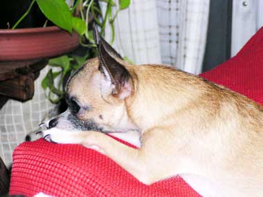 c0019050_21403265.jpg