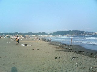 e0062156_263869.jpg