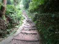 e0048357_921511.jpg