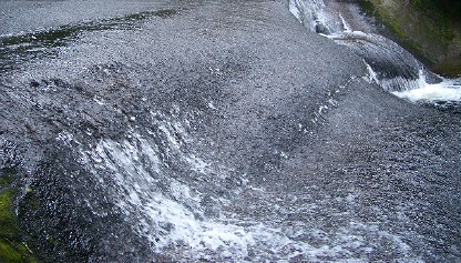d0020159_1321529.jpg