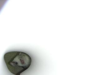 a0018200_18151441.jpg