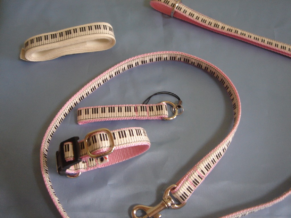 c0041207_1251051.jpg