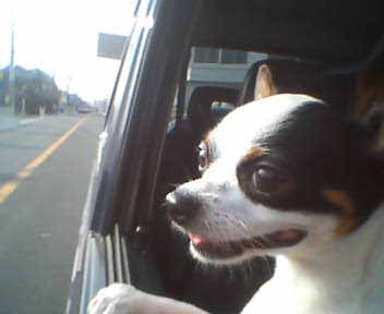 e0032508_2228265.jpg