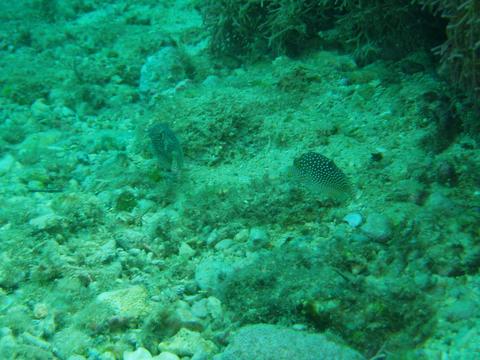 a0000014_21222257.jpg