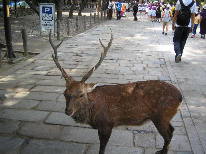 e0016542_0454788.jpg