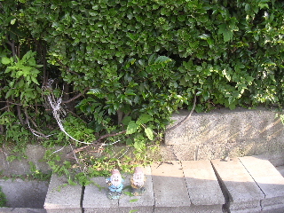 c0065643_2116764.jpg