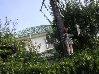 c0065643_2133382.jpg