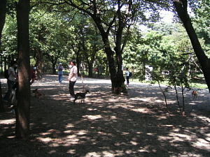 e0000946_23112586.jpg