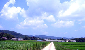 c0002547_4115239.jpg