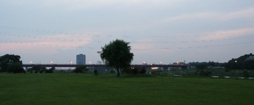 b0069169_2311234.jpg