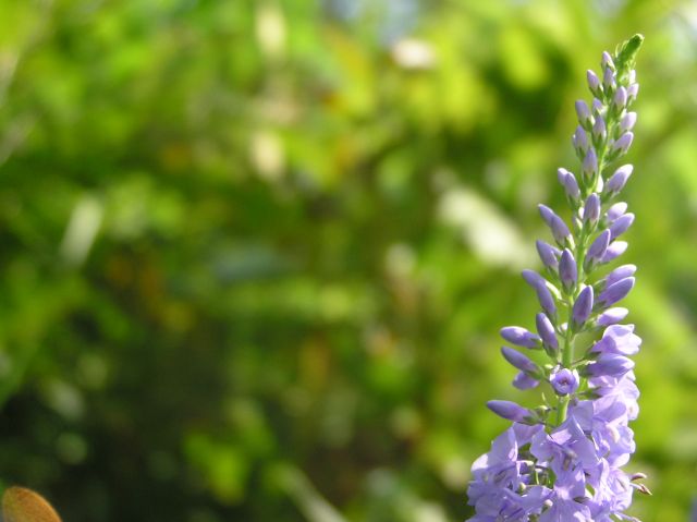 c0042869_21302356.jpg