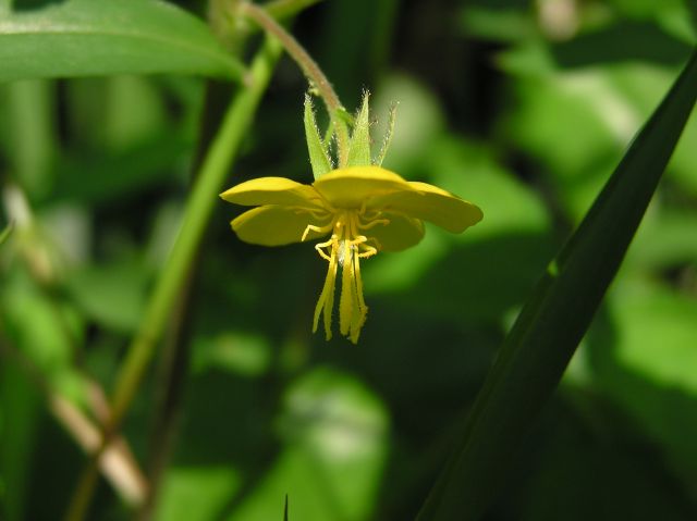 c0042869_21312081.jpg