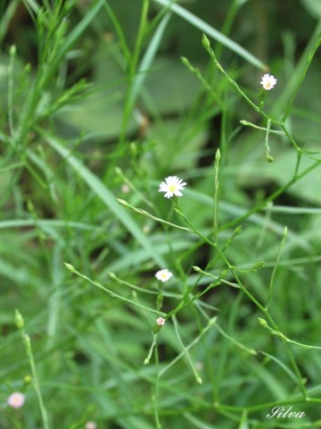 c0039974_2221063.jpg