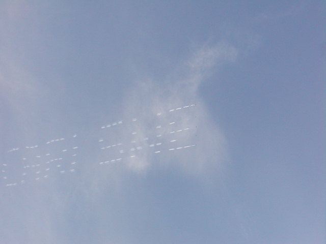 c0073377_12344834.jpg