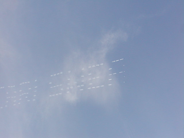 c0073377_1235023.jpg