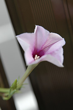 c0026690_225535.jpg