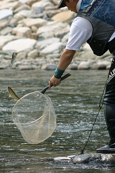 c0038290_22362026.jpg
