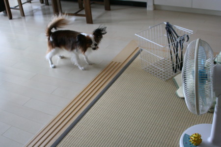 c0044199_21285310.jpg