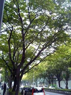 e0019200_19244299.jpg