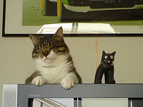 c0035001_1404547.jpg