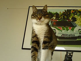 c0035001_1423665.jpg