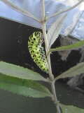 c0056903_179088.jpg