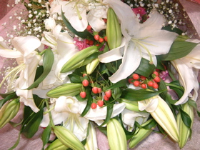 d0012323_0413431.jpg