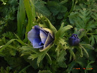 c0013324_231247100.jpg