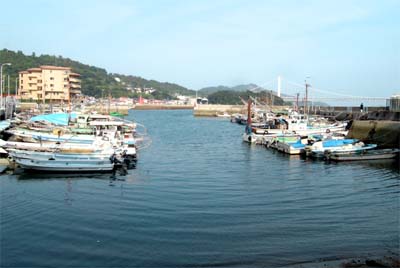 d0029829_2505556.jpg