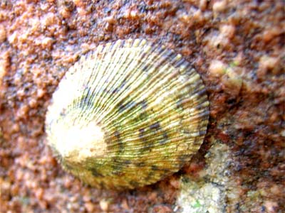 d0029829_312175.jpg