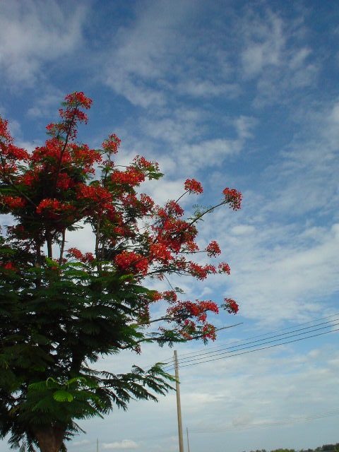 e0066229_20435280.jpg