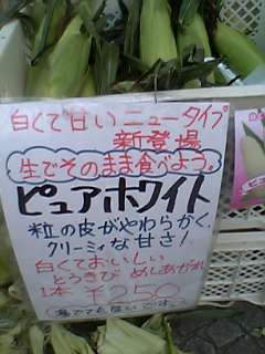 c0053130_13513315.jpg